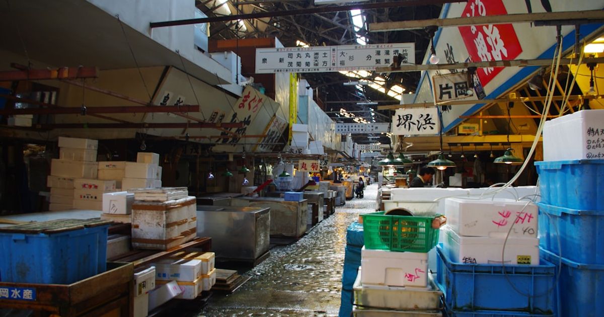 日本集運推薦2026:從費用到清關的聰明選擇指南